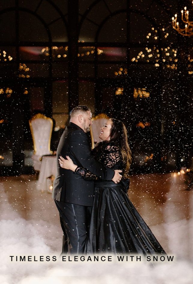 Timeless elegance with snow